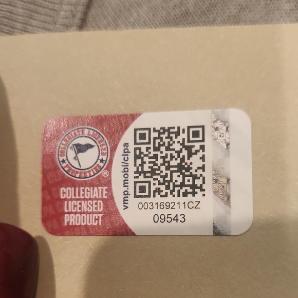 NWT-  XL Alternative Gray Mississippi Golden Eagles Tee - Picture 6 of 6